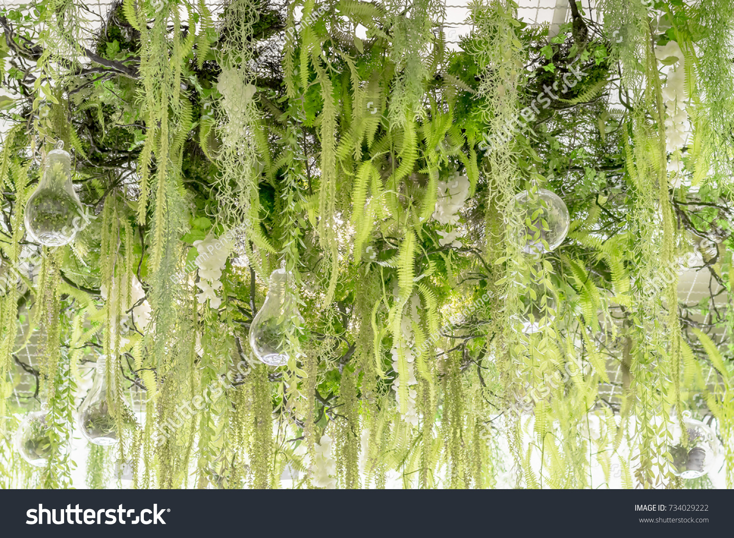 Green Hanging Plants Decoration On Ceiling Stock Photo Edit