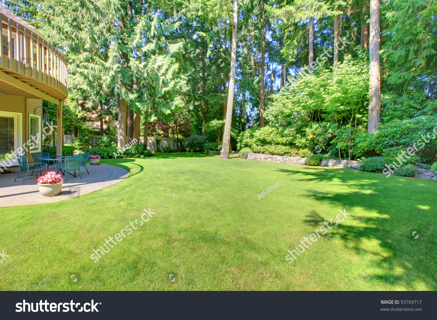 Green Large Back Yard Pine Trees Stock Photo 93769717 Shutterstock