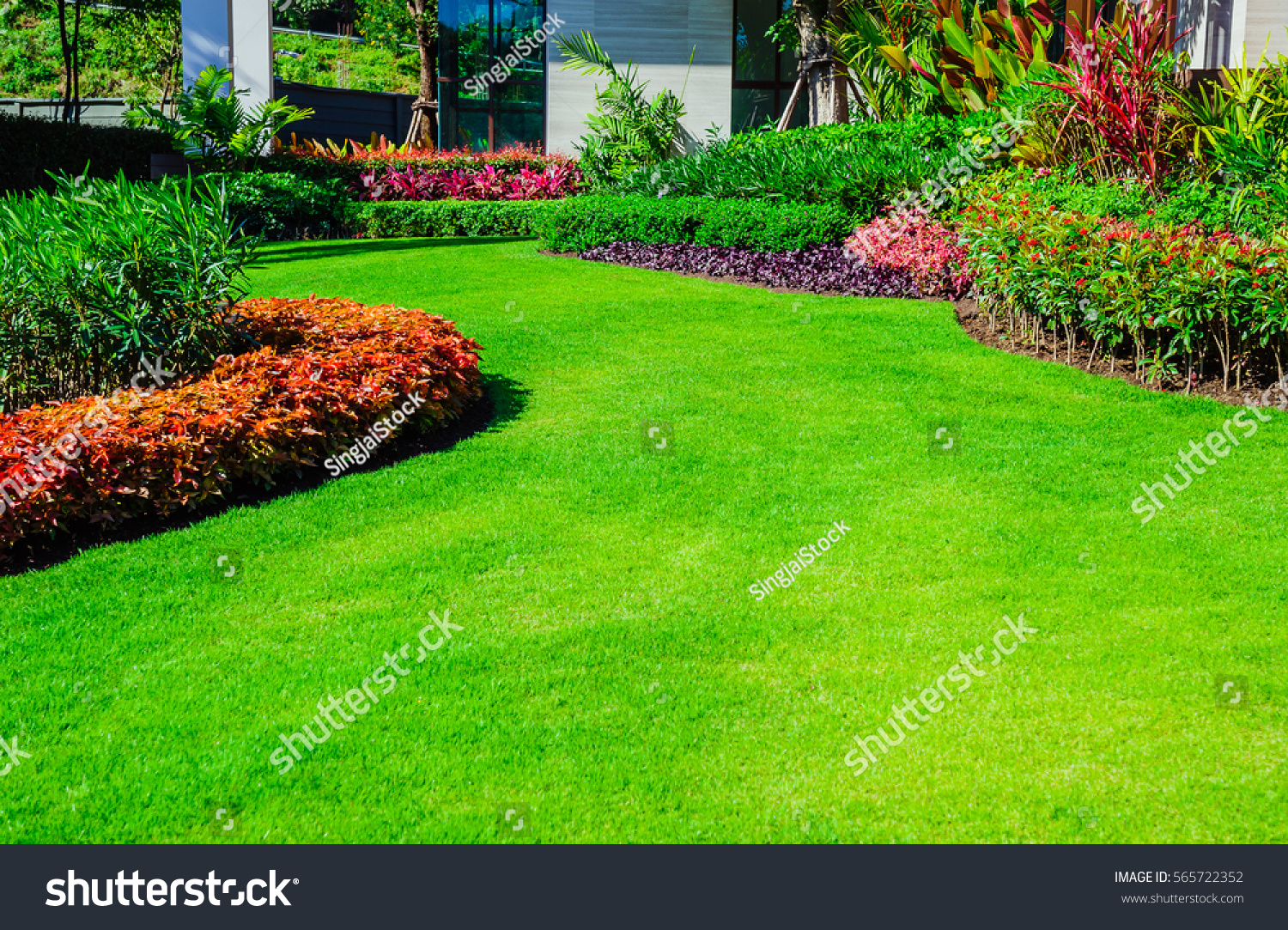 Green Lawn Front Lawn Backgroundgarden Landscape Stock Photo 565722352