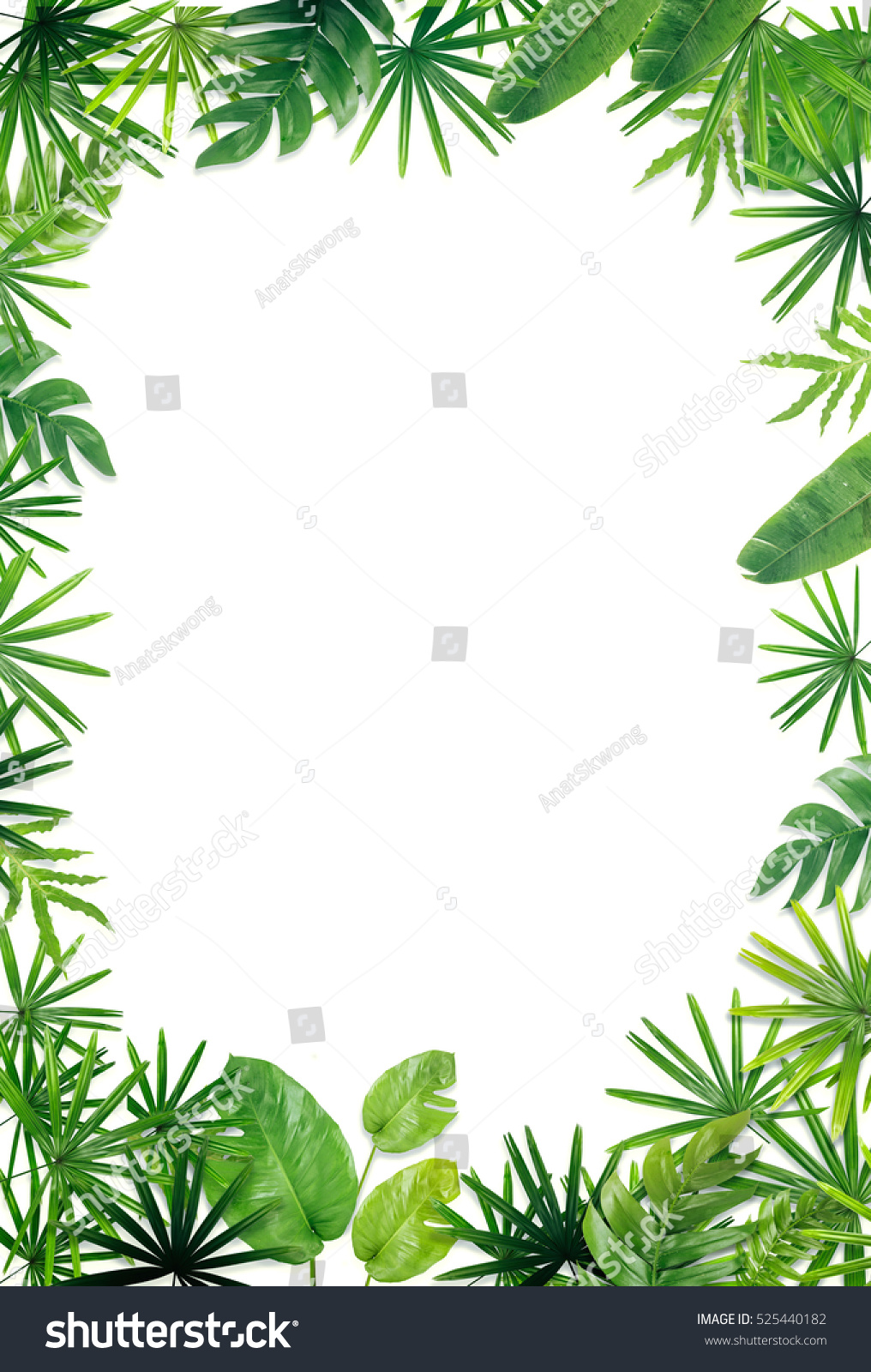 Green Leaf Border Background Stock Photo 525440182 | Shutterstock