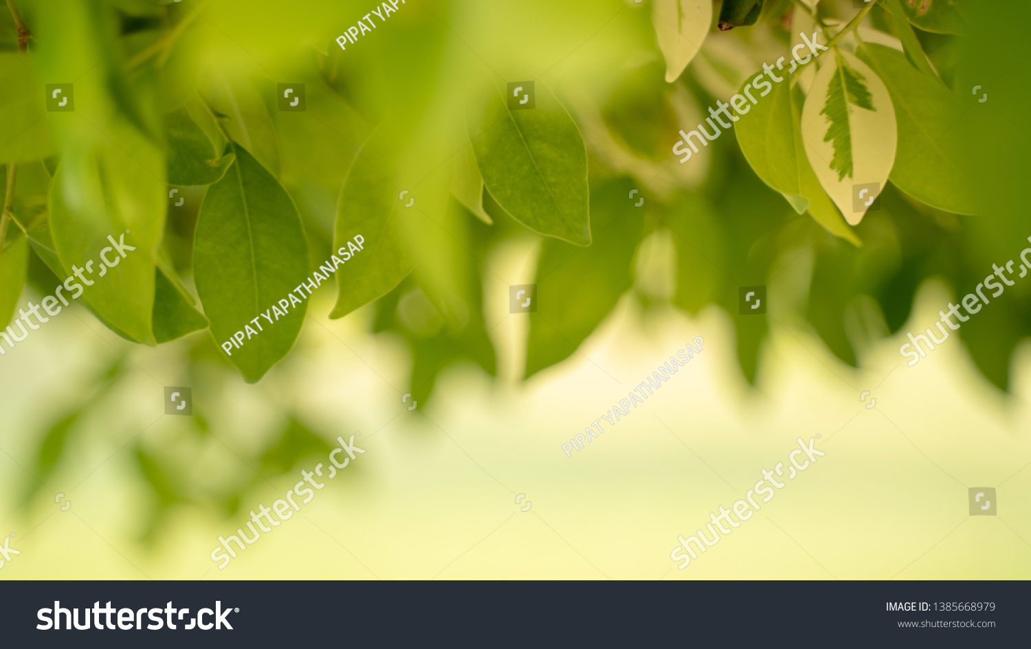 Green Leaf On Blur Background Backgroundfresh Stock Photo 1385668979