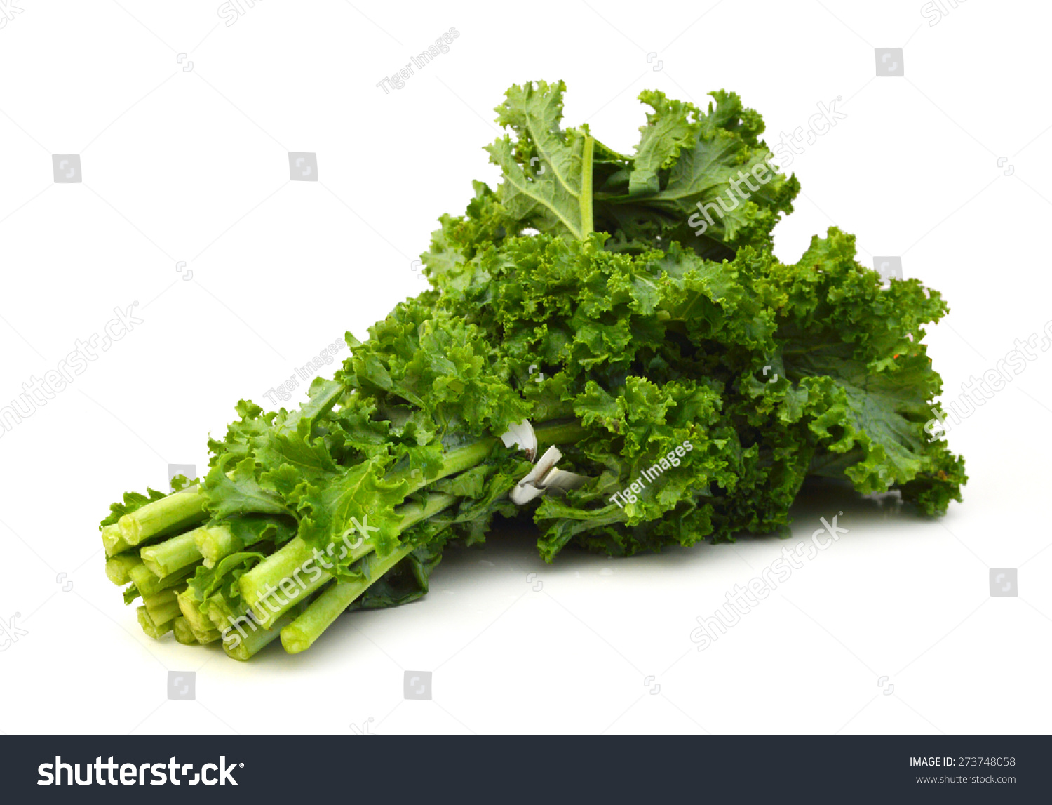 Green Leafy Kale Vegetable Isolated On Stock Photo 273748058 Shutterstock