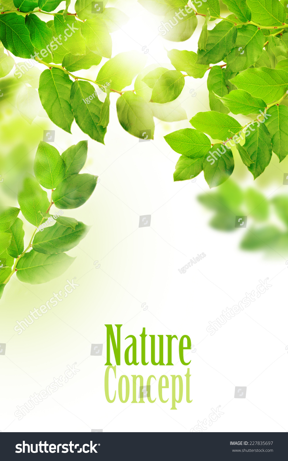 Leaves Nature Concept Stock (Edit Now) 227835697