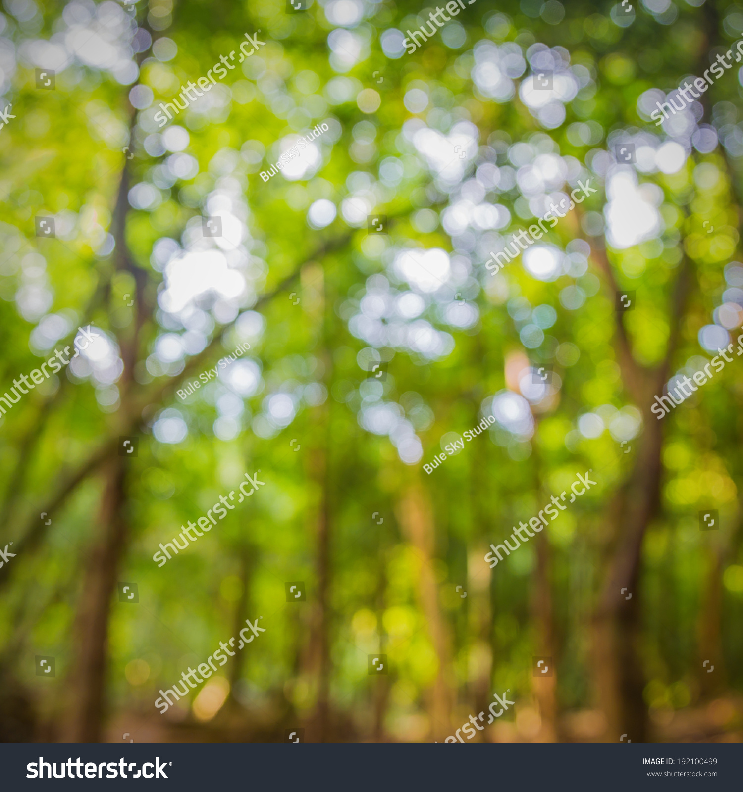 Featured image of post Green Nature Background For Editing / Check out this fantastic collection of nature wallpapers, with 59 nature background images for your desktop, phone or tablet.