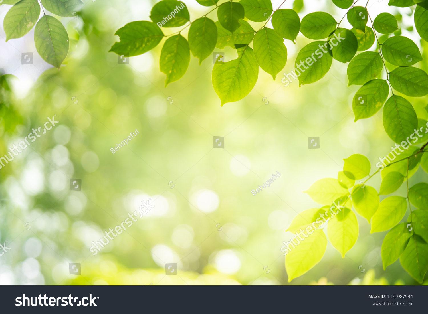 Green Background Green Stock Photo (Edit 1431087944