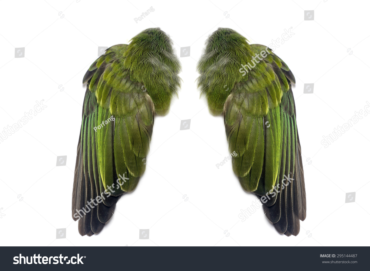 Green Pair Folded Bird Wings Isolated Stock Photo Edit Now 295144487,Grilled Pears With Honey