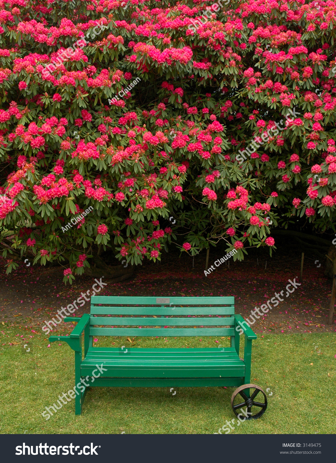 Green Park Bench Pink Flowers Background Stock Photo 3149475 ... for Park Background With Bench
165jwn Green Park Bench Pink Flowers Background Stock Photo 3149475 ... for Park Background With Bench
165jwn