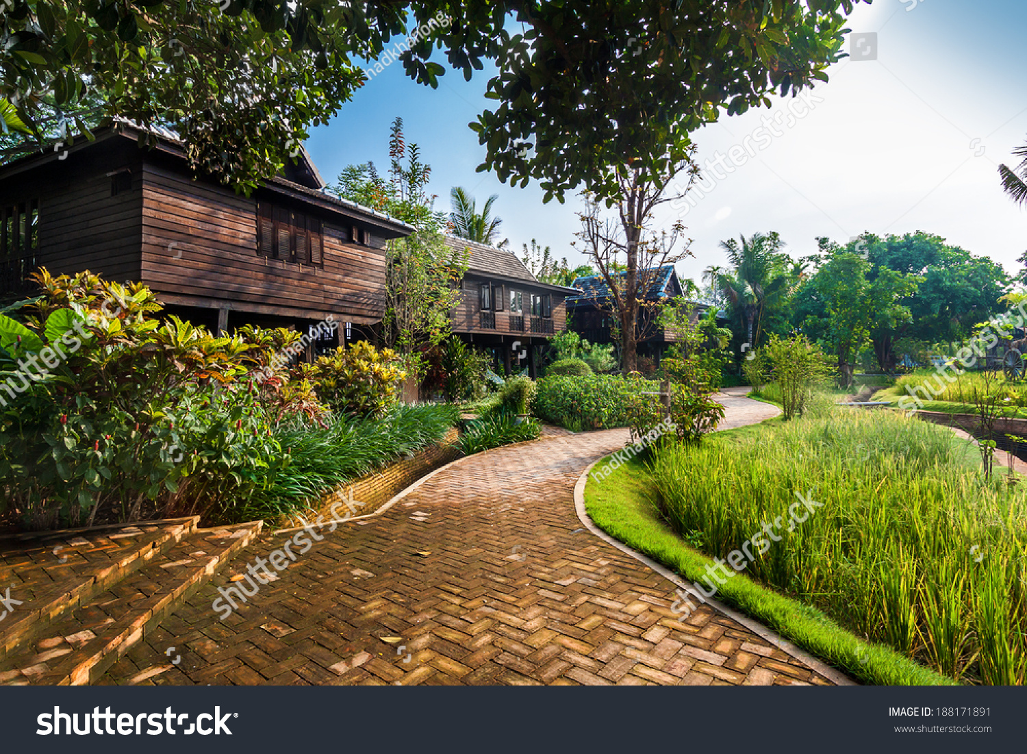 Green Rice Field Villa Built Rice Stock Photo Edit Now 188171891