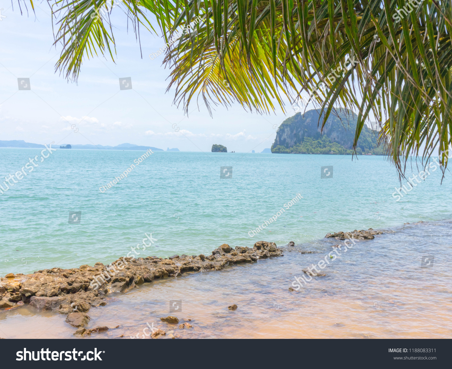 Green Sea Coconut Tree Khoyao Thailand Stock Photo Edit Now