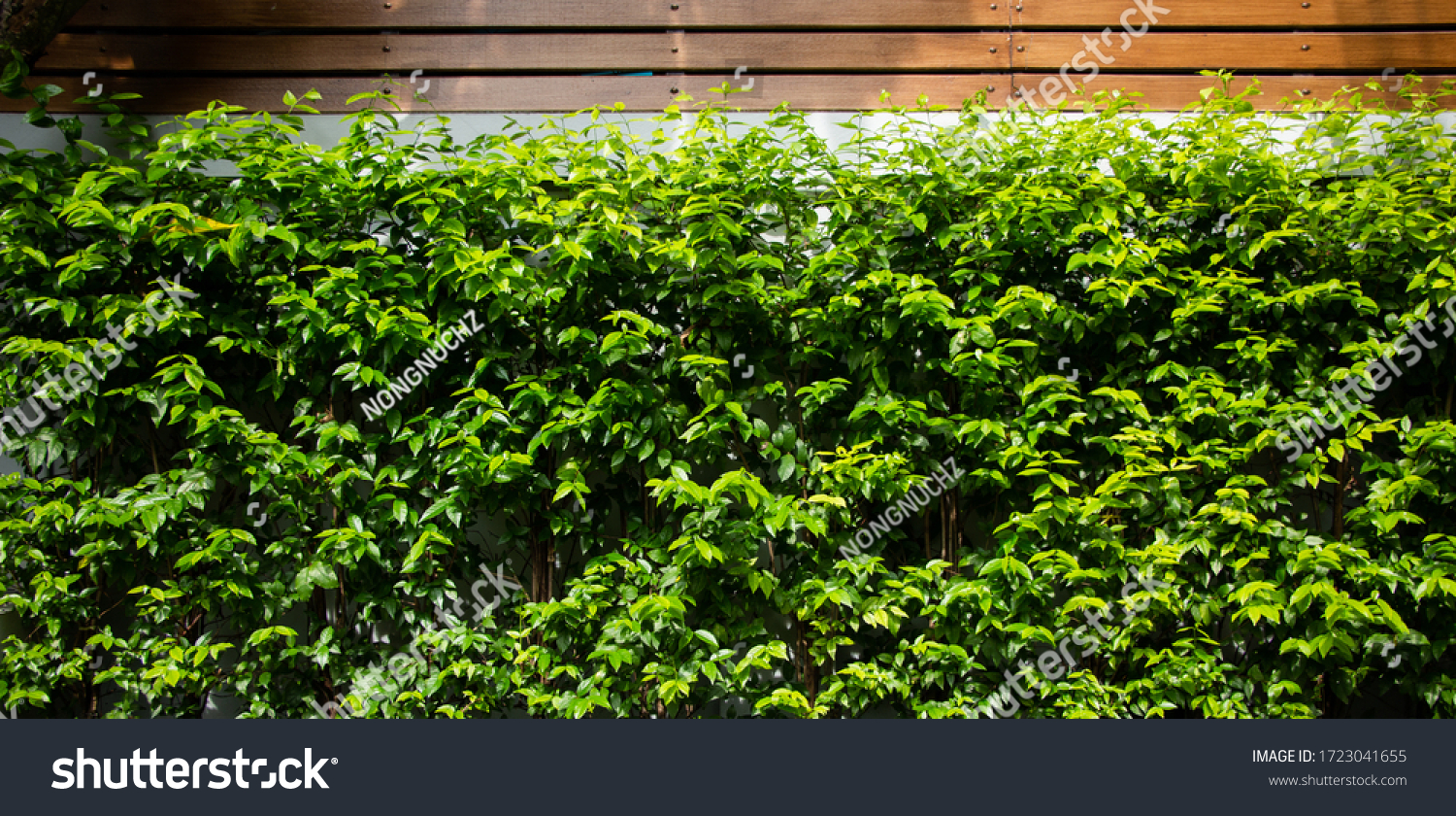 12 Partio Images, Stock Photos & Vectors | Shutterstock