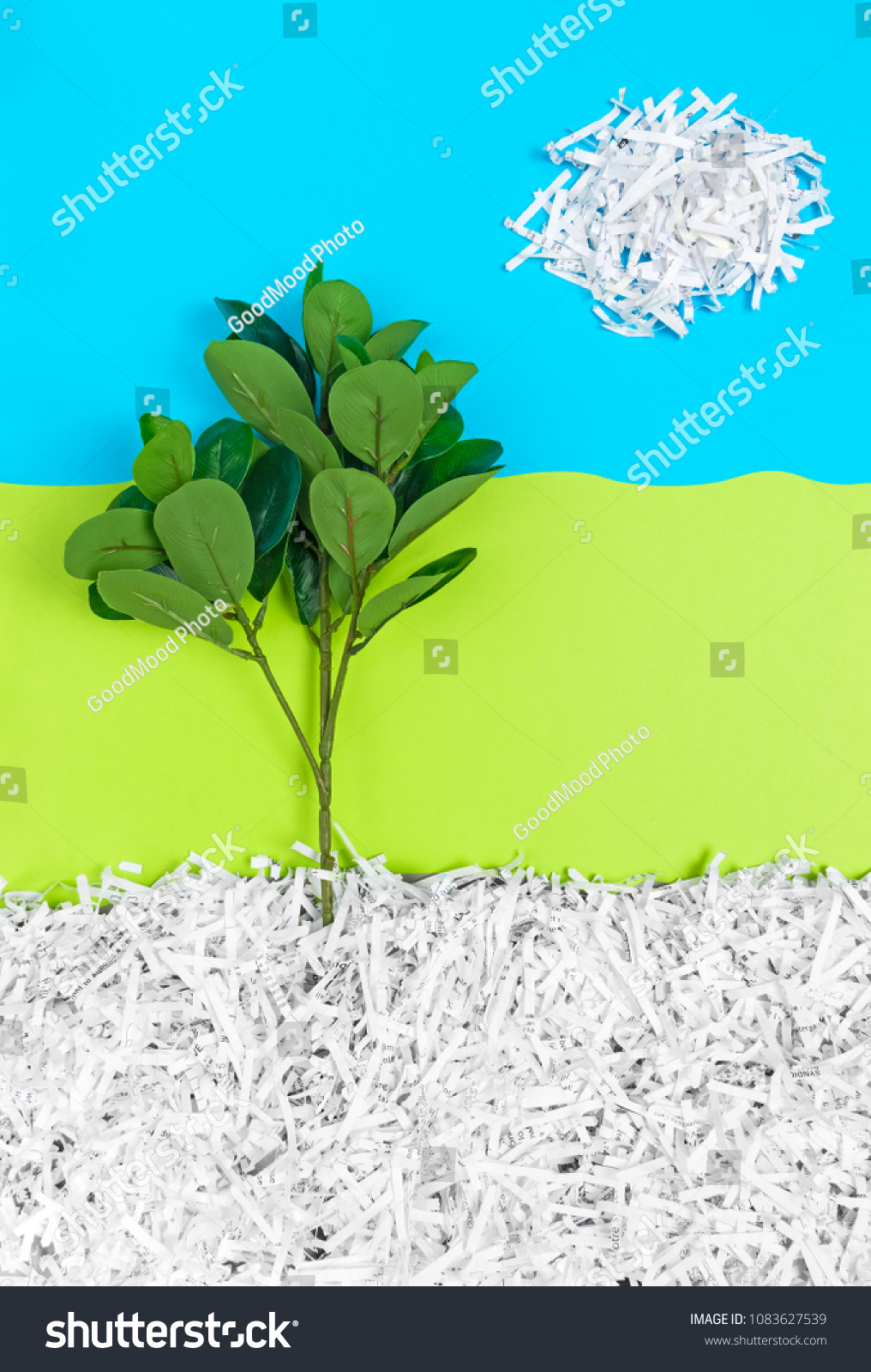 Green Tree Growing Recycled Shredded Paper Stock Photo Edit Now 1083627539