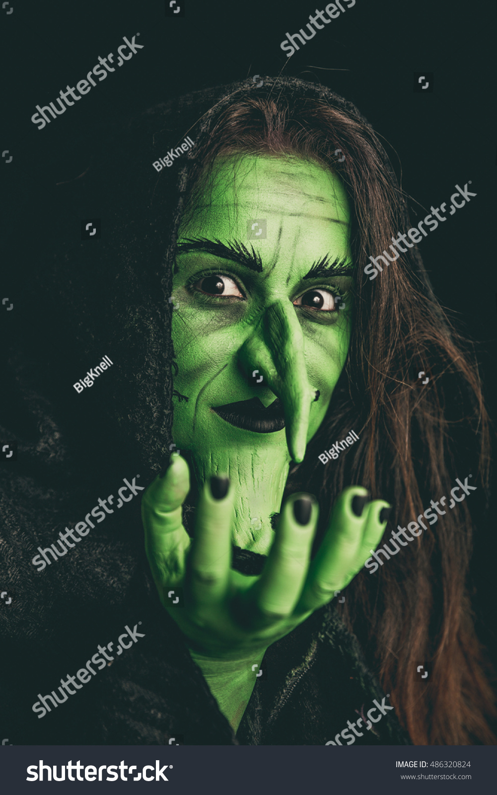 Green Witch Acting Like She Holding Stock Photo Edit Now