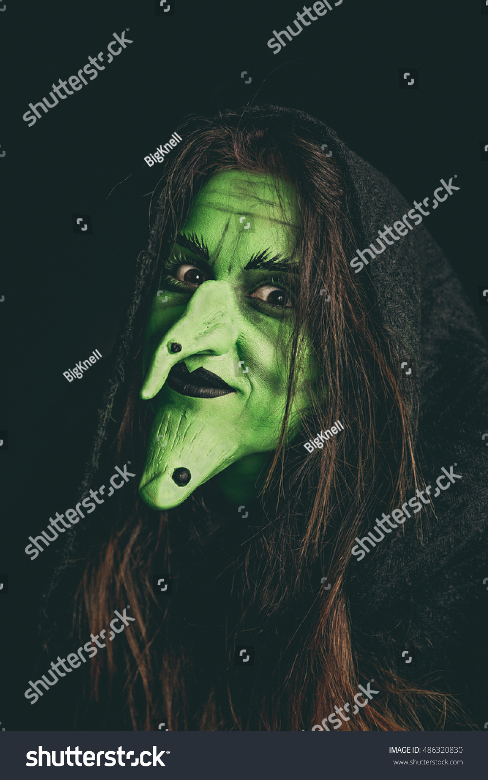 Green Witch Dark Hood Smiling Halloween Stock Photo Edit Now