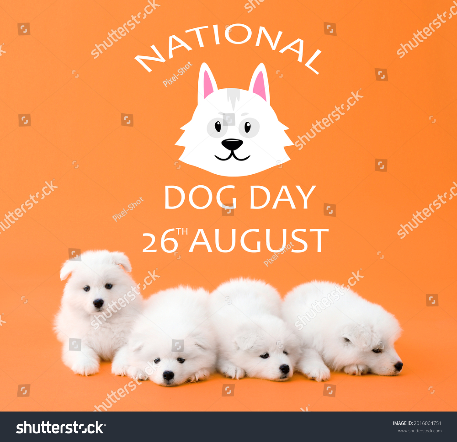 Greeting Card Happy National Dog Day Stock Photo 2016064751 Shutterstock