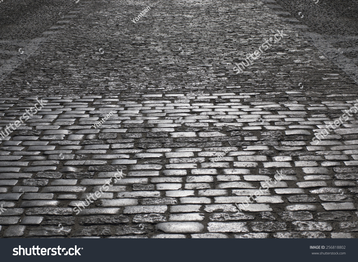 Grey Cobblestone Road Night warsaw Old Town Stock Photo 256818802 ...