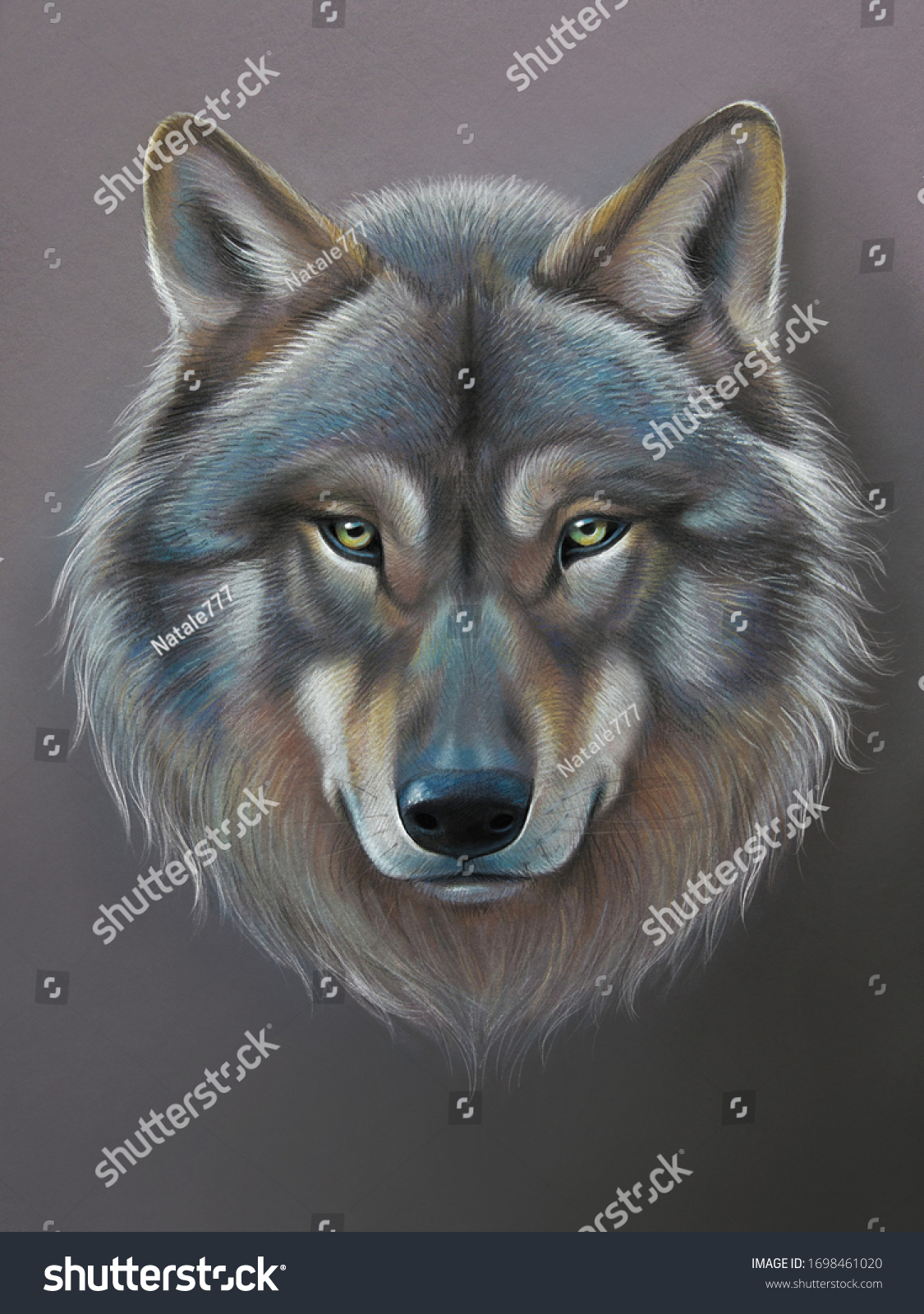 Grey Wolf Wolf Animal Face Realistic Stock Illustration