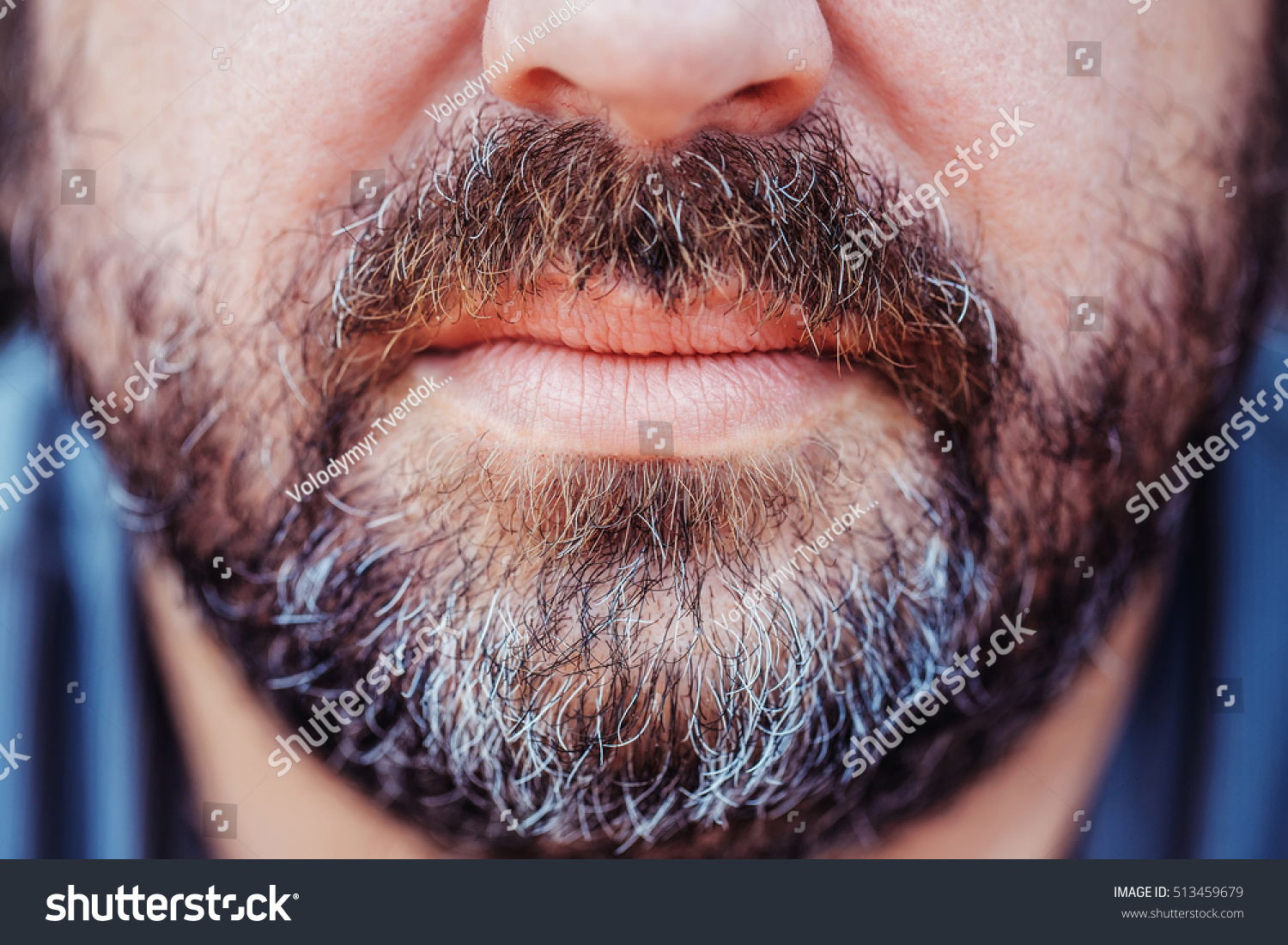 Greying Beard And Moustache With Grey Hair Over Lips On Unshaved Masculinity Face Of Mature