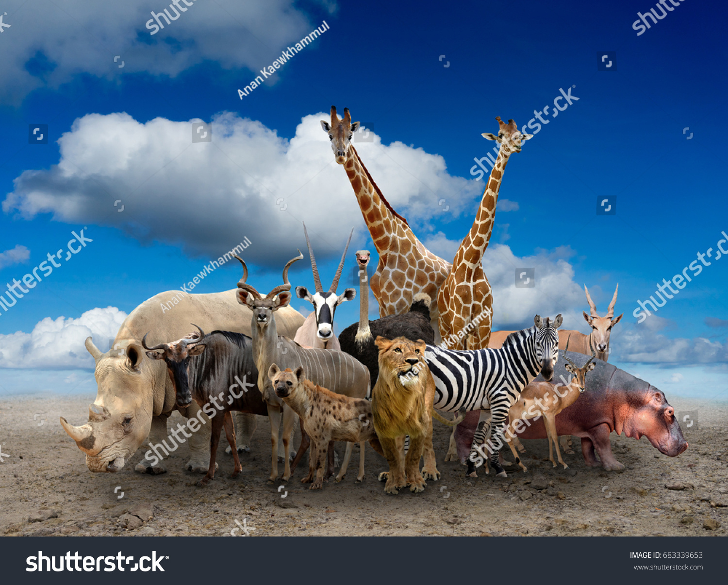 地面に立つアフリカの動物の群れ の写真素材 今すぐ編集