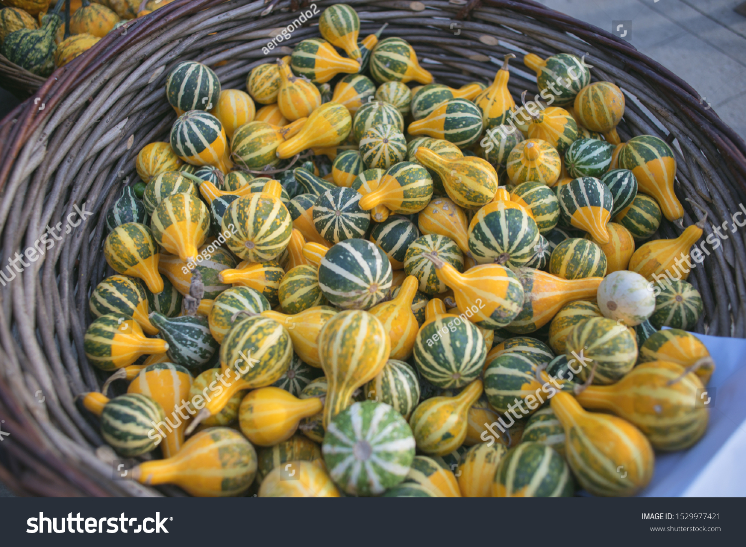 basket de squash