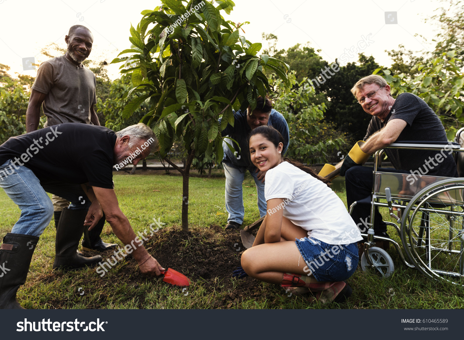 Group Diverse People Planting Tree Together Stock Photo 610465589