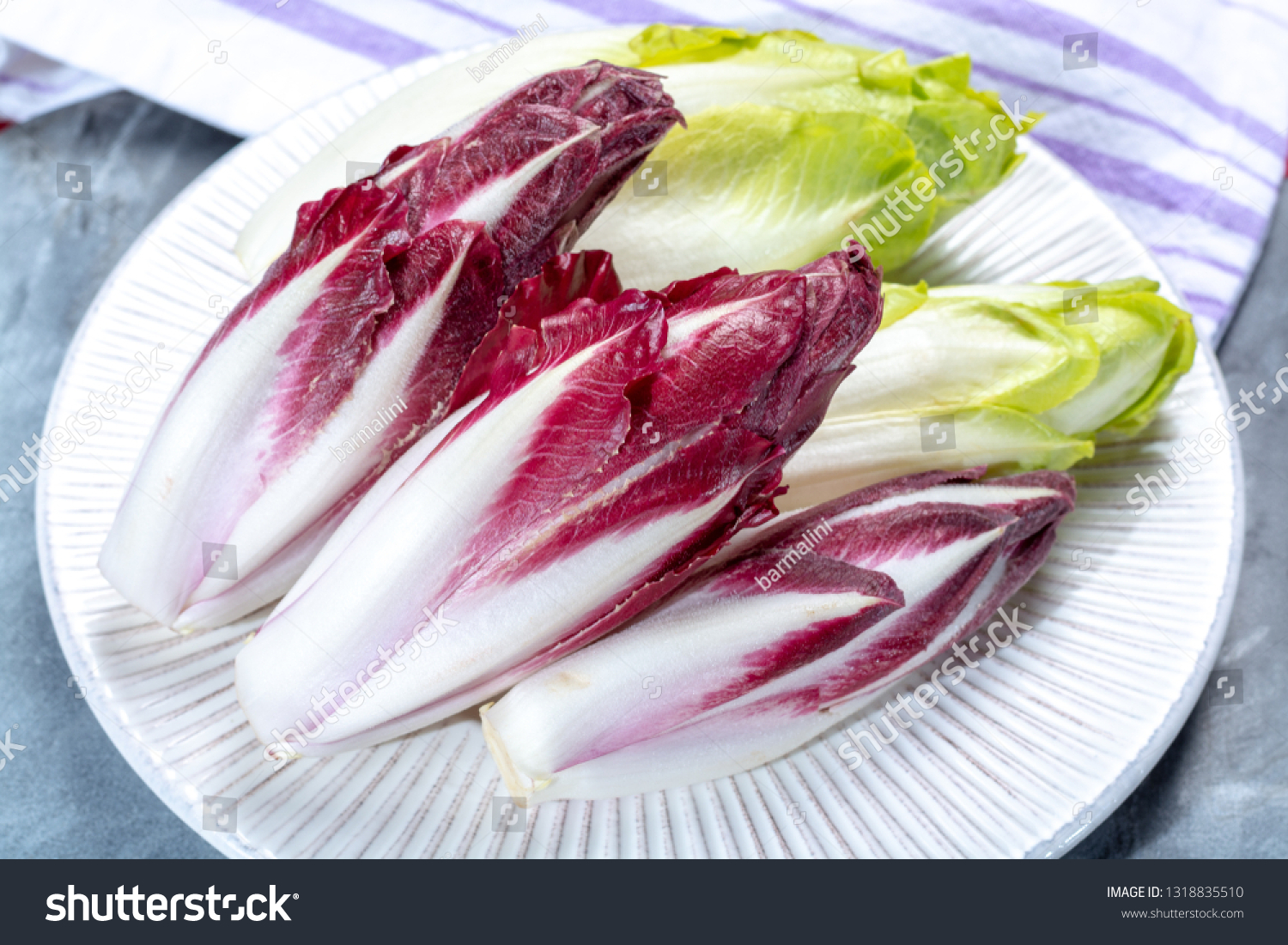 Group Fresh Green Belgian Endive Chicory Stock Photo 1318835510 ...