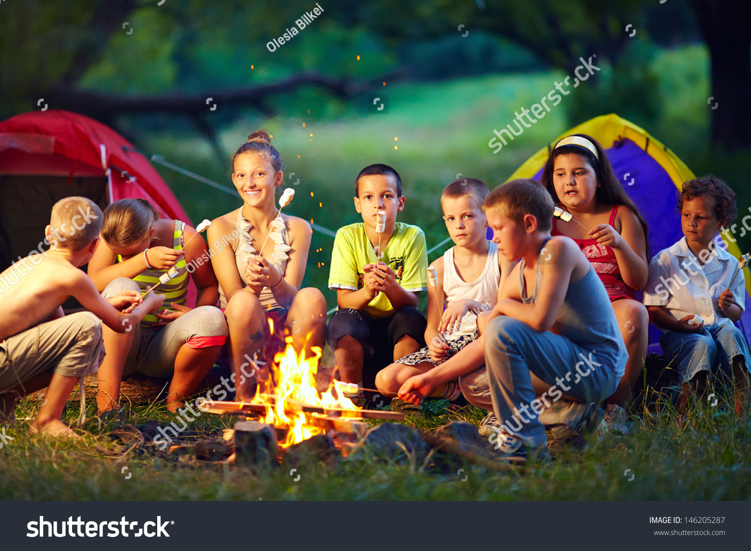 Group Happy Kids Roasting Marshmallows On Stock Photo 146205287 ...