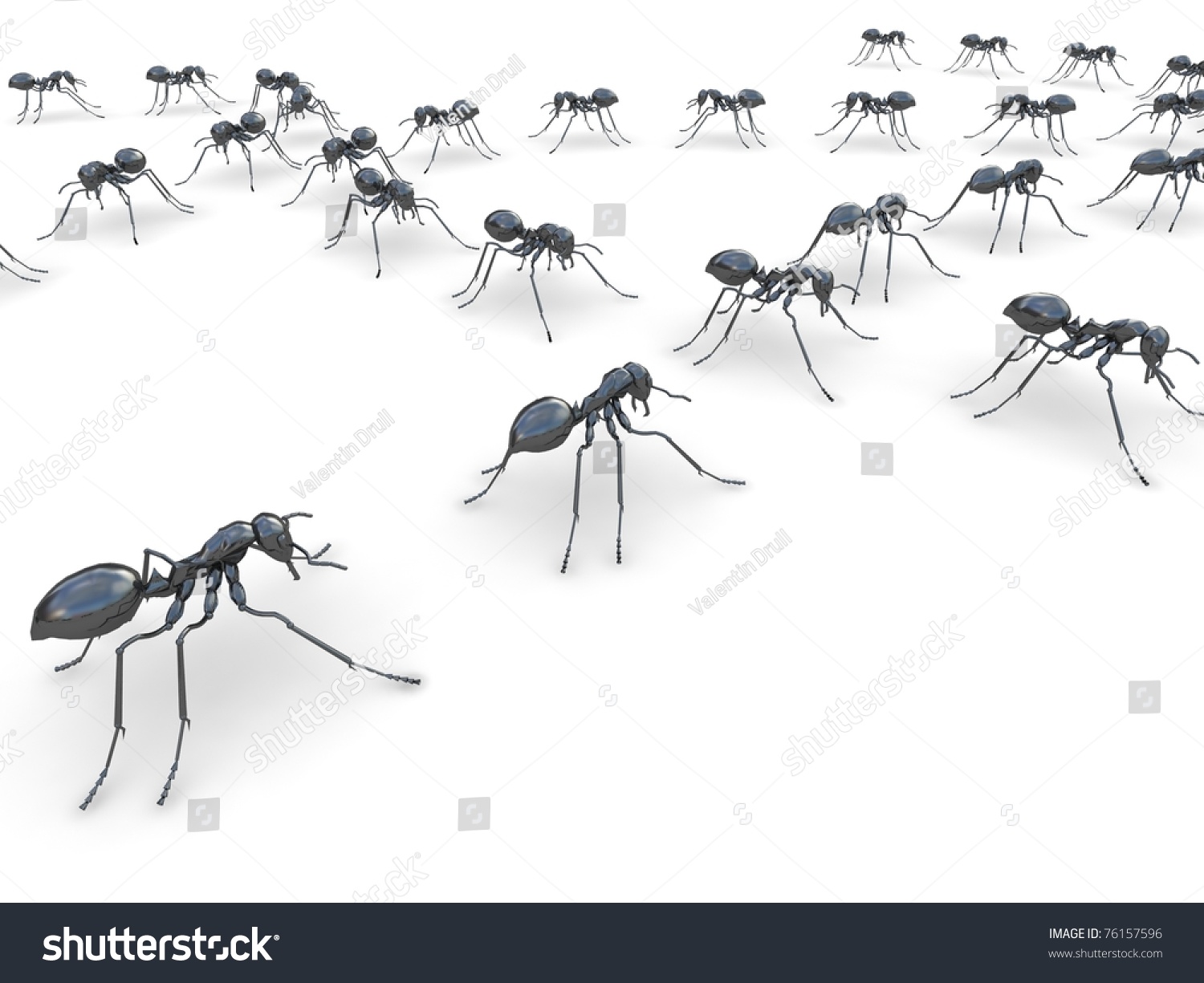 Group Insects Ants Line On Floor Stock Illustration 76157596 - Shutterstock