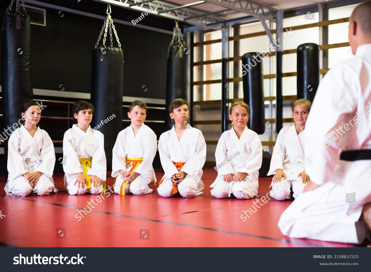 Group Positive Preteen Children Greeting Karate Stock Photo (Edit Now ...