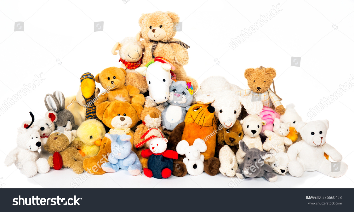 stuffed animal from picture