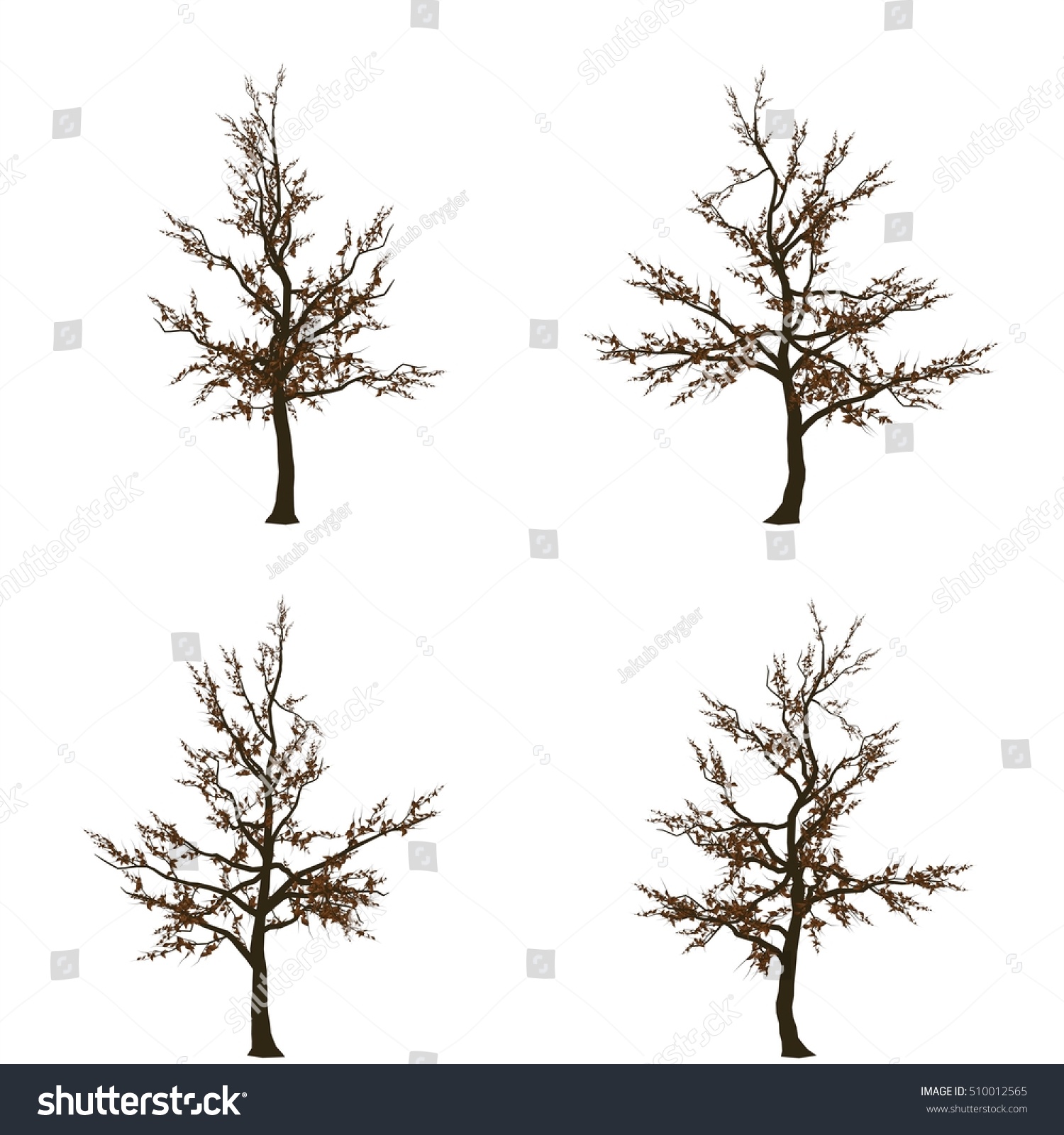 Group Trees Isolated On White Background Stock Illustration 510012565 ...