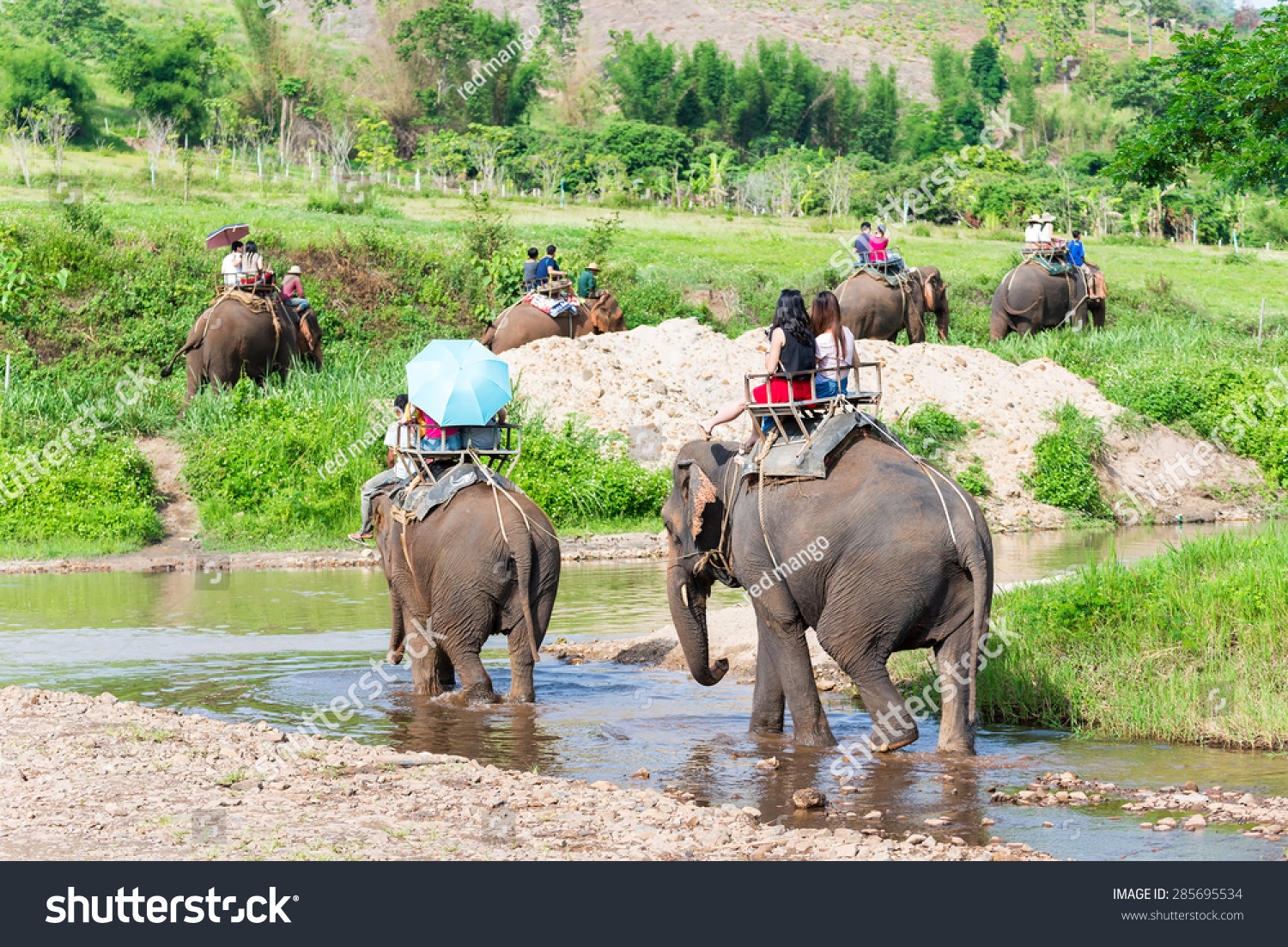 Group Tourists Ride On Elephant Forest Stock Photo 285695534 Shutterstock