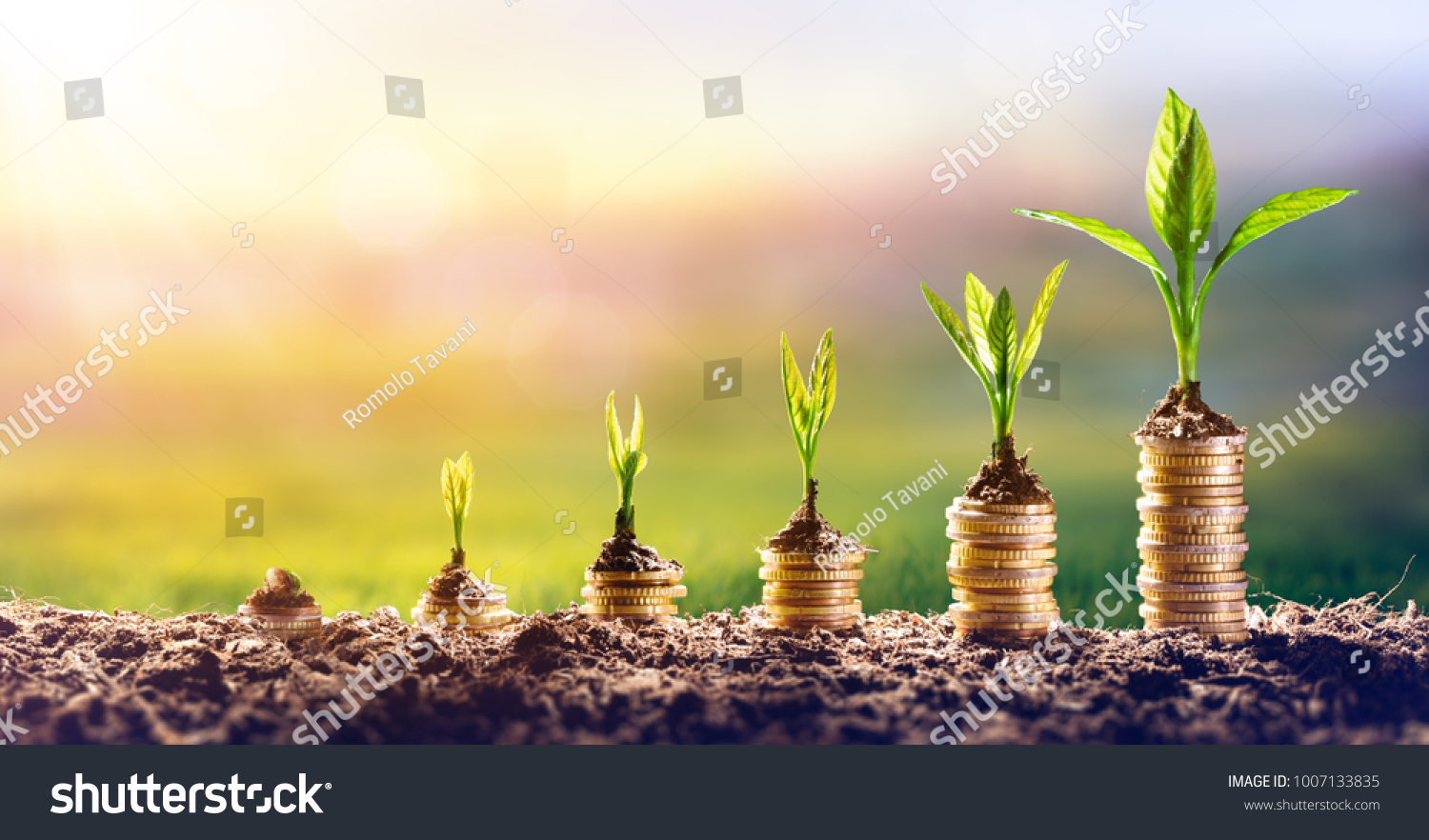 244462 Money Grow Concept Images Stock Photos And Vectors Shutterstock