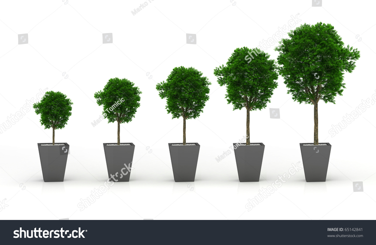 Growing Plant Stock Illustration 65142841 - Shutterstock