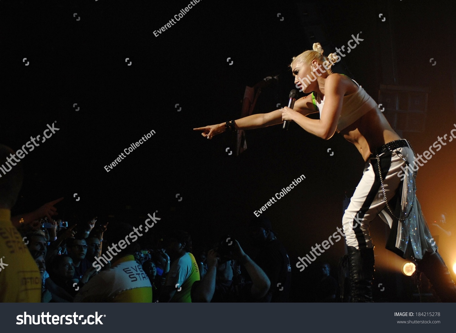 Gwen Stefani On Stage No Doubt Stock Photo Edit Now