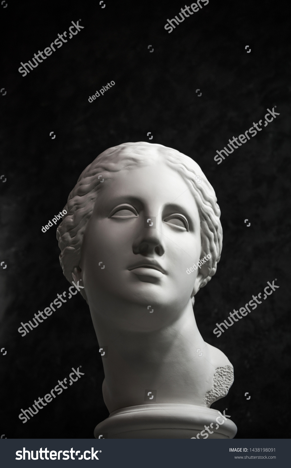 Gypsum Copy Ancient Statue Venus Head Stock Photo 1438198091 | Shutterstock