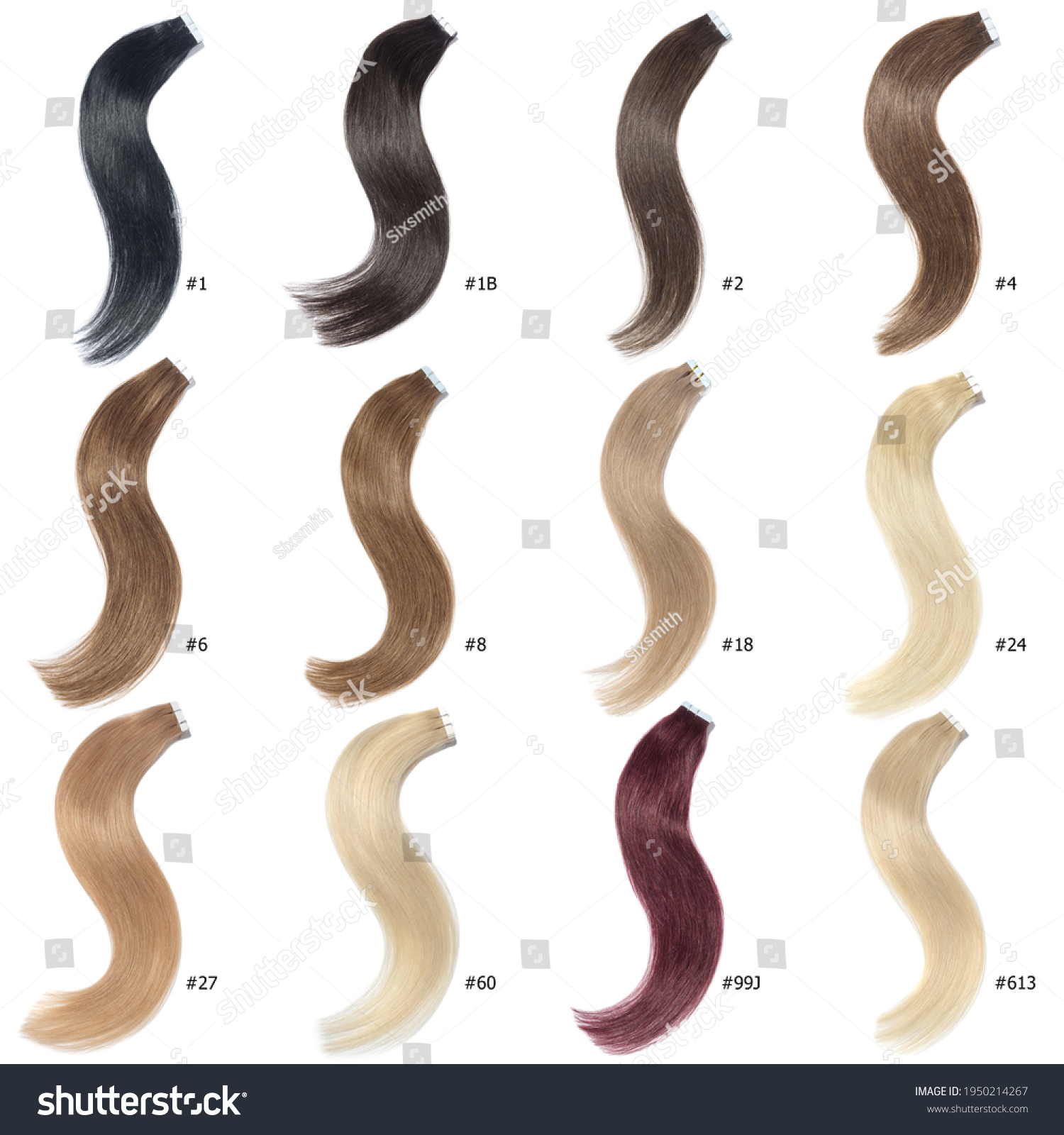 Hair Base Color Palette Hair Colors库存照片1950214267 Shutterstock