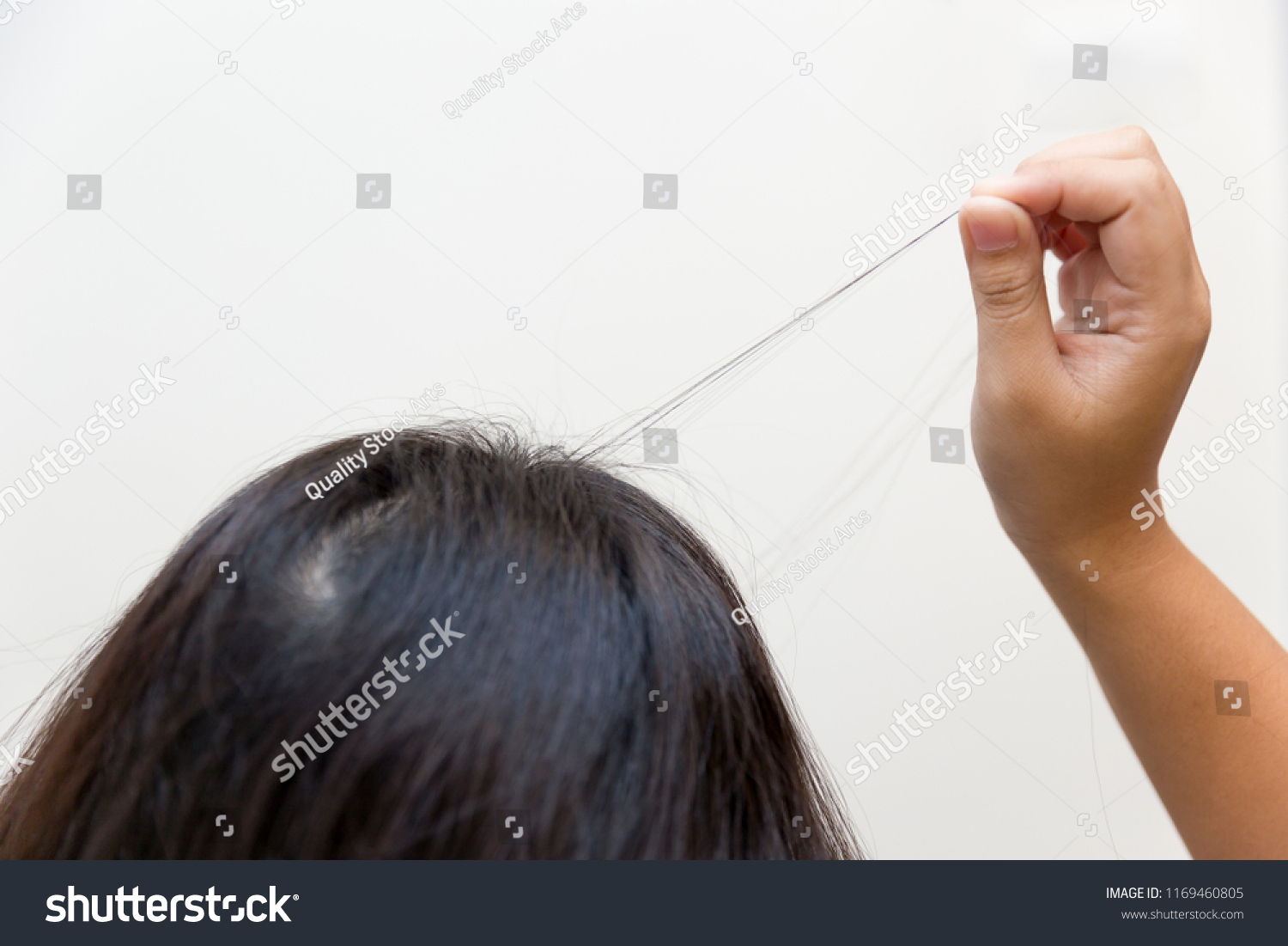 Hair Pulling Bilder Stockfotos Und Vektorgrafiken Shutterstock