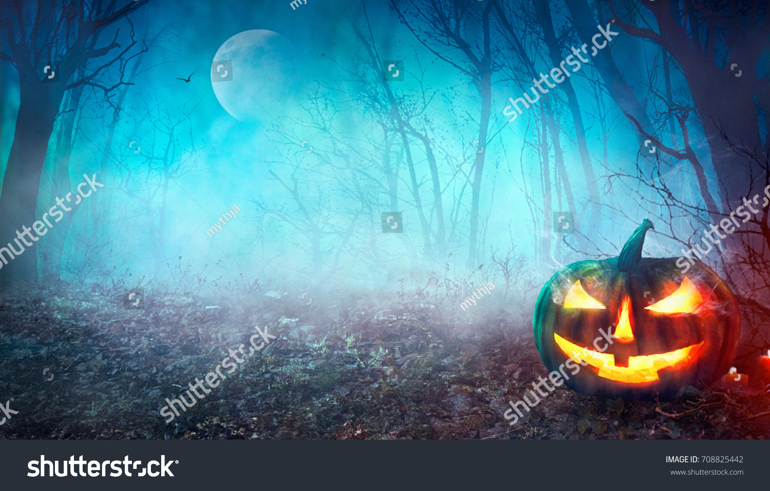 Halloween Background Spooky Pumpkin Moon Dark Stock Photo 708825442 ...