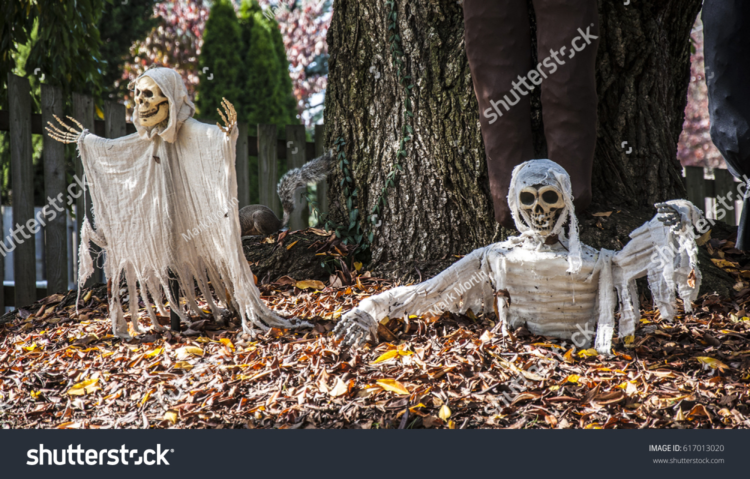 halloween ground decorations