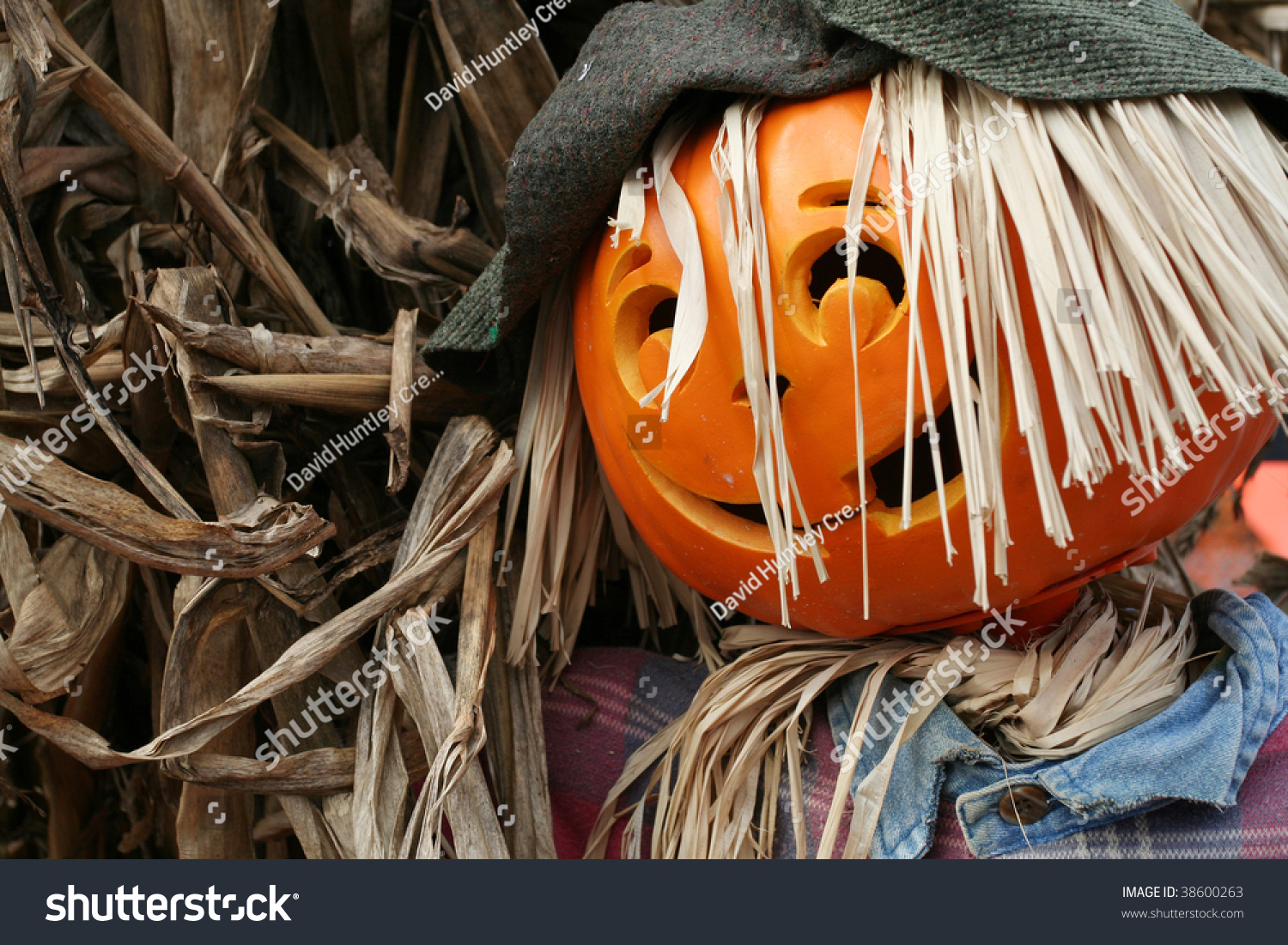 Halloween Pumpkin Head Scarecrow Stock Photo 38600263 : Shutterstock