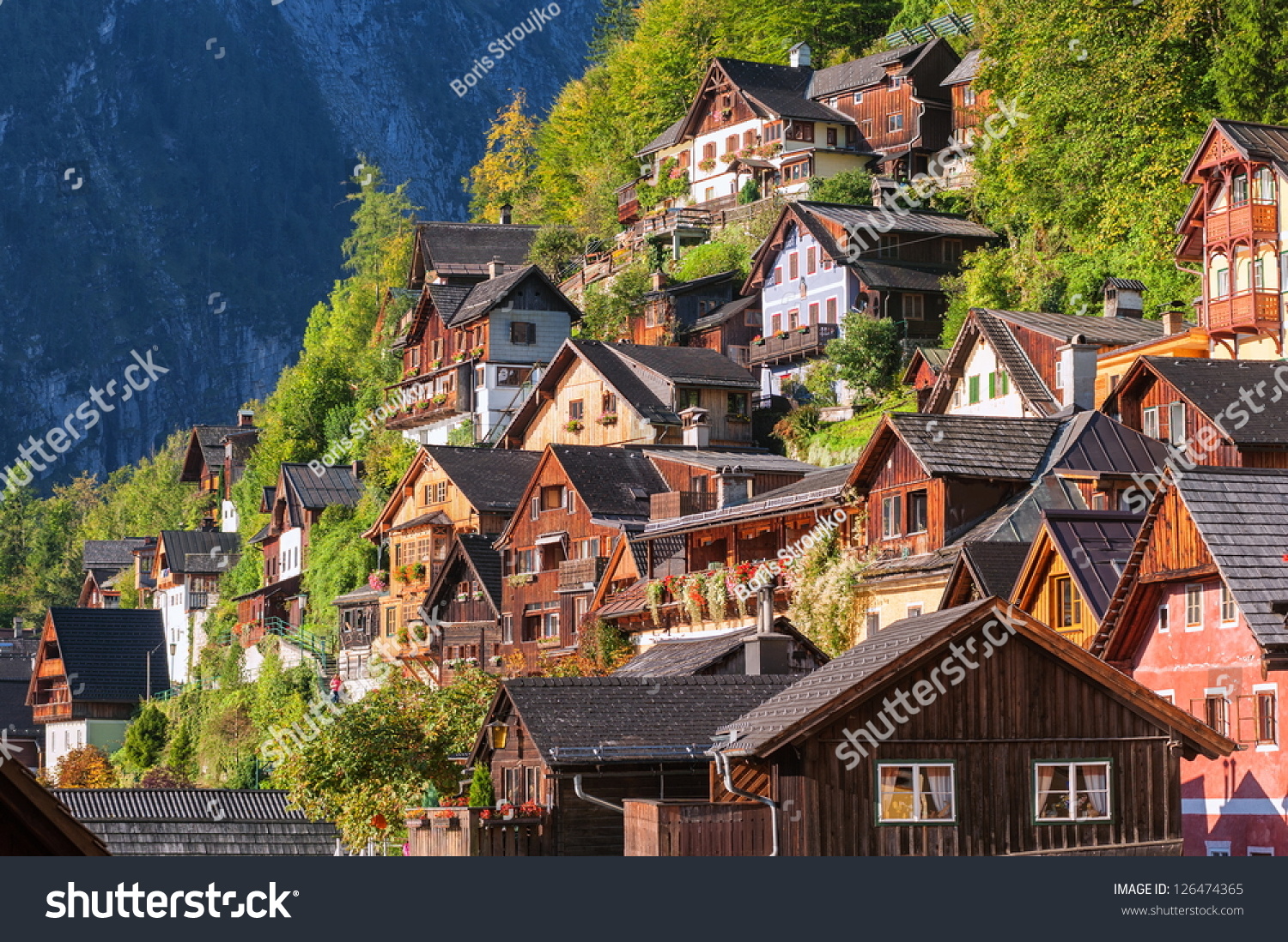 Hallstatt Culture