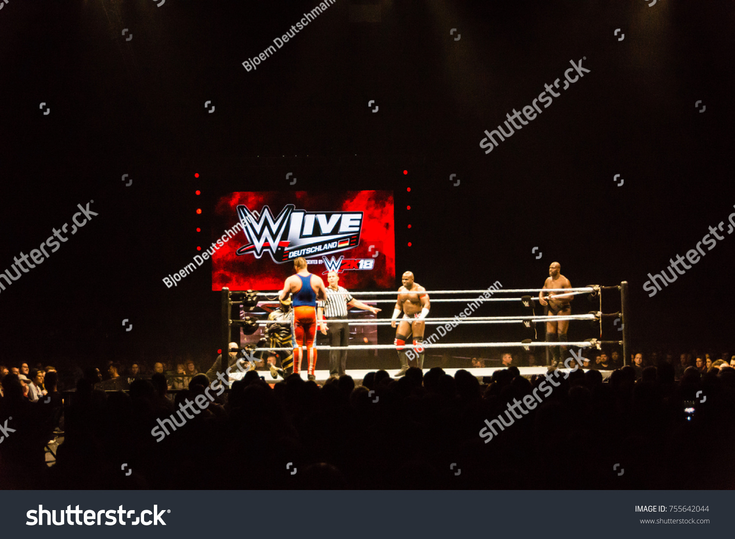 30 Curt hawkins Images, Stock Photos & Vectors | Shutterstock