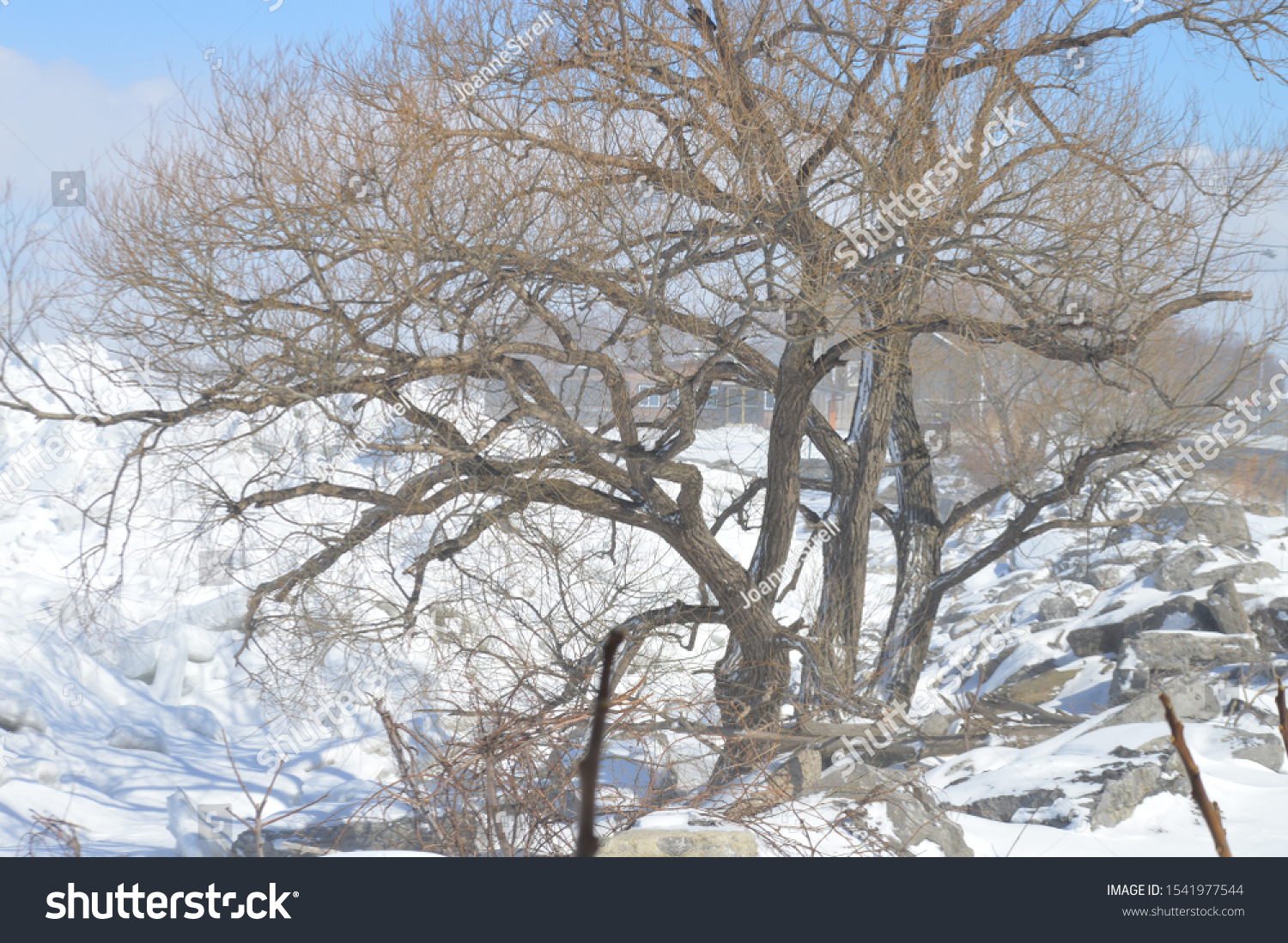 Hamburg New Yorkusa February 21 2019 Stock Photo Edit Now 1541977544