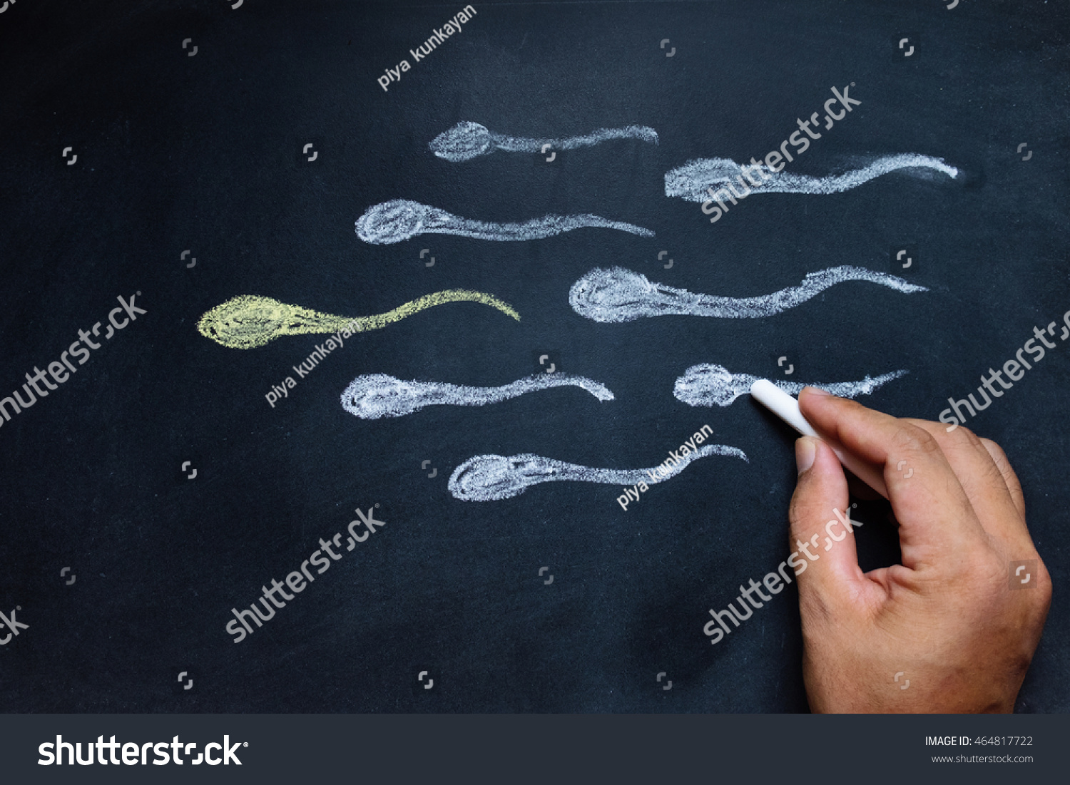 Hand Drawing Sperm On Blackboard Stock Photo Edit Now 464817722