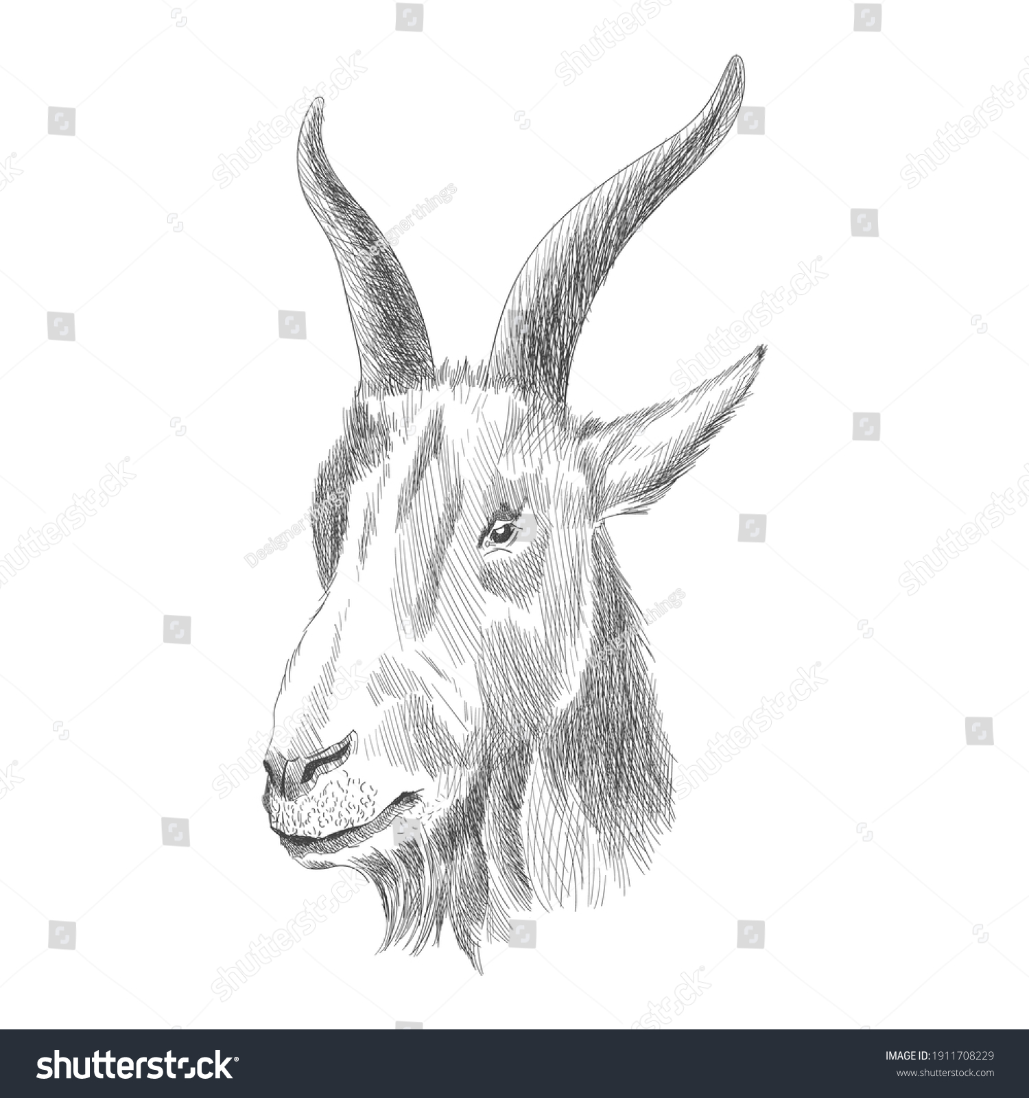 Drawing goat Images, Stock Photos & Vectors | Shutterstock