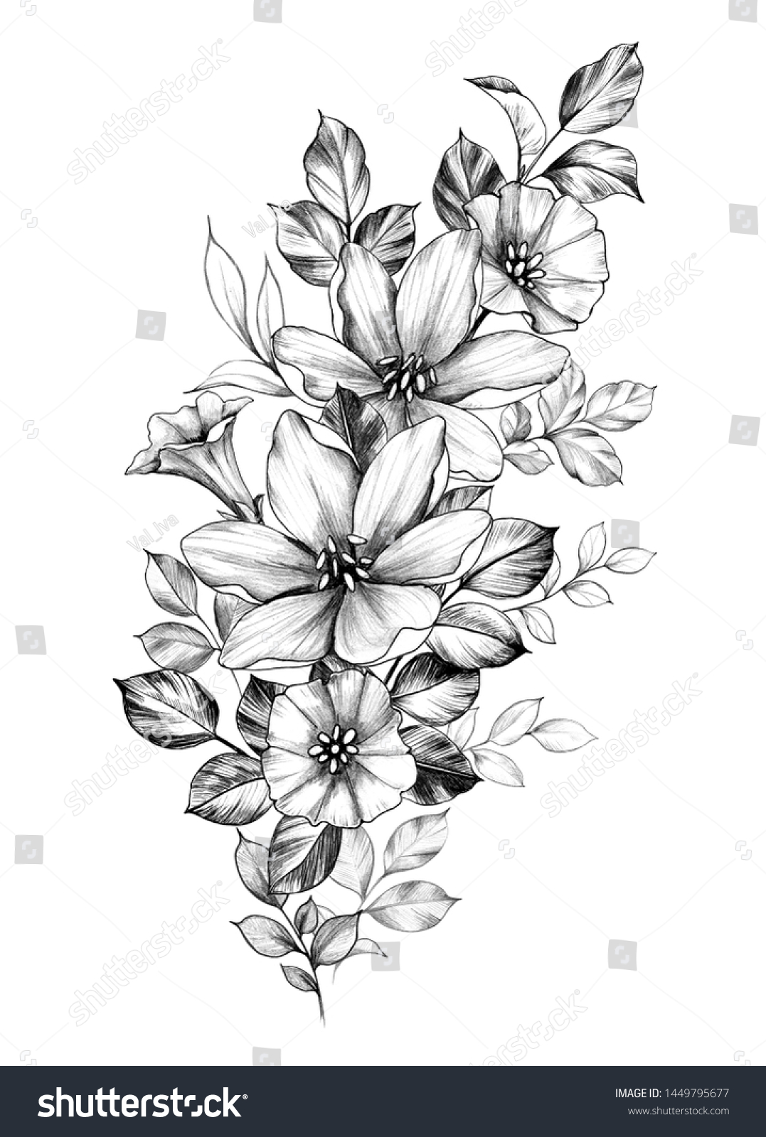 Hand Drawn Bouquet Flowers Isolated On Stock Illustration 1449795677 ...