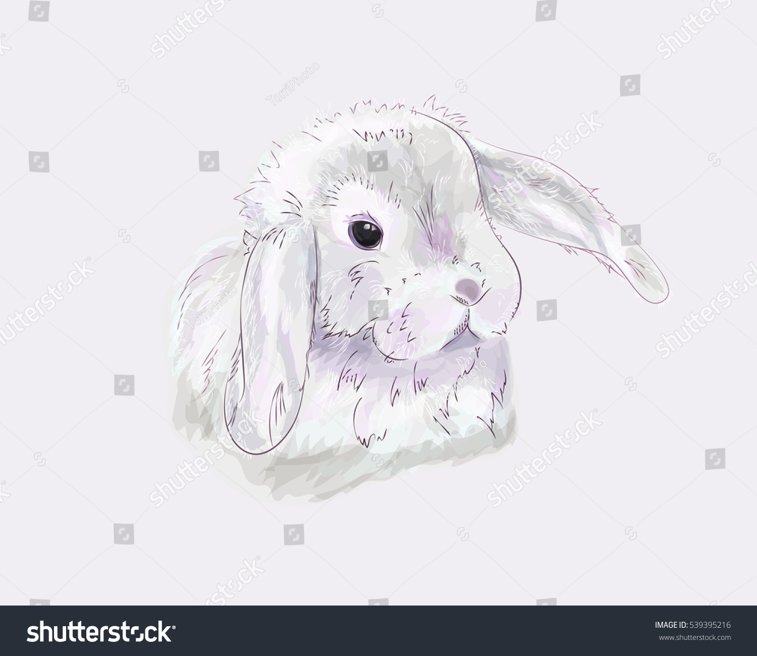https://www.shutterstock.com/image-illustration/hand-drawn-cute-easter-bunny-pastel-539395216