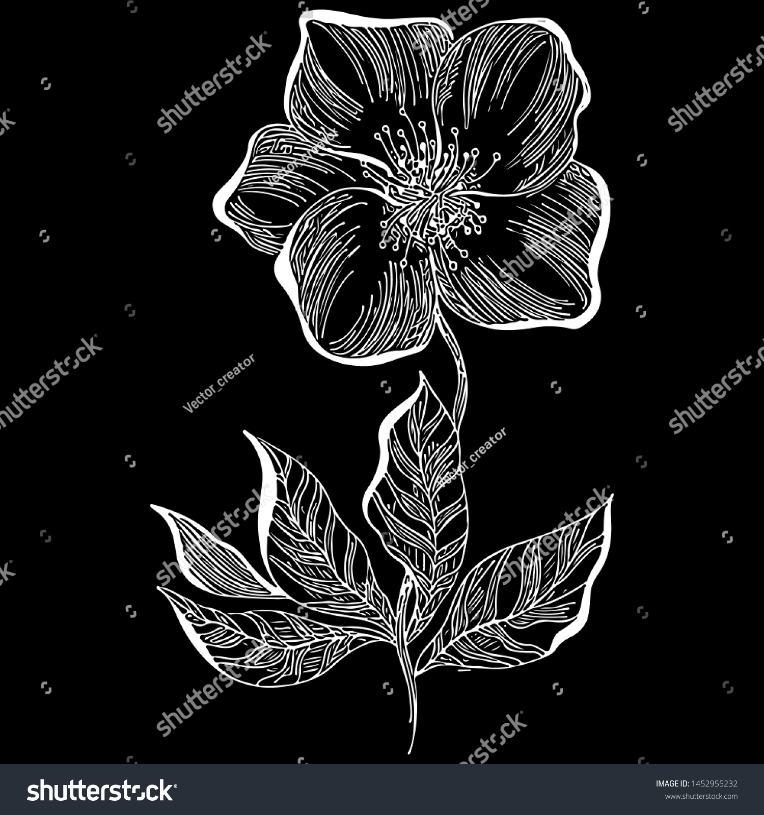 Hand Drawn Dog Rose Flower Outline Stock Illustration 1452955232 ...