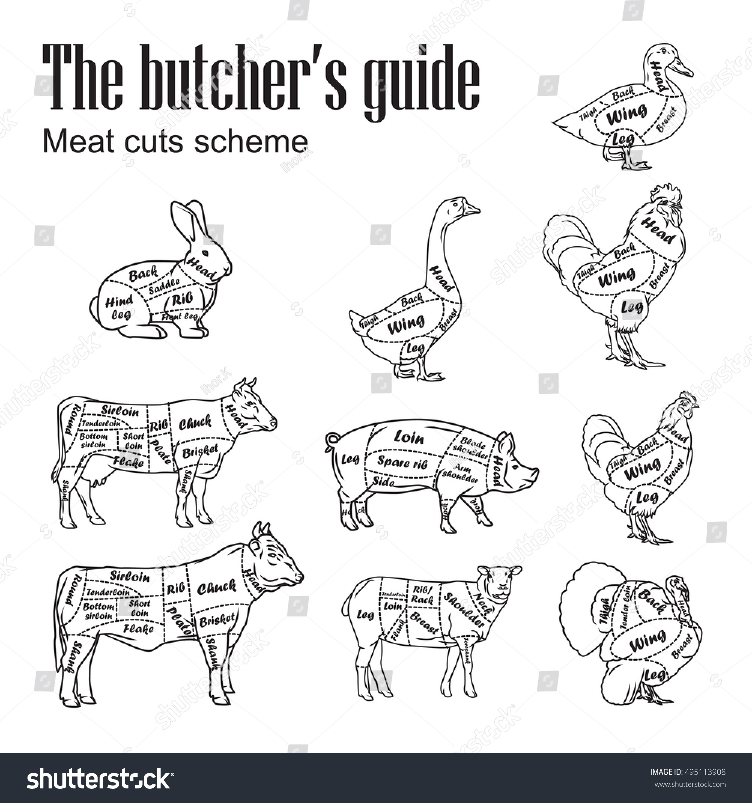 Hand Drawn Farm Animals. Set Of Butcher Cut Diagram Vintage ...