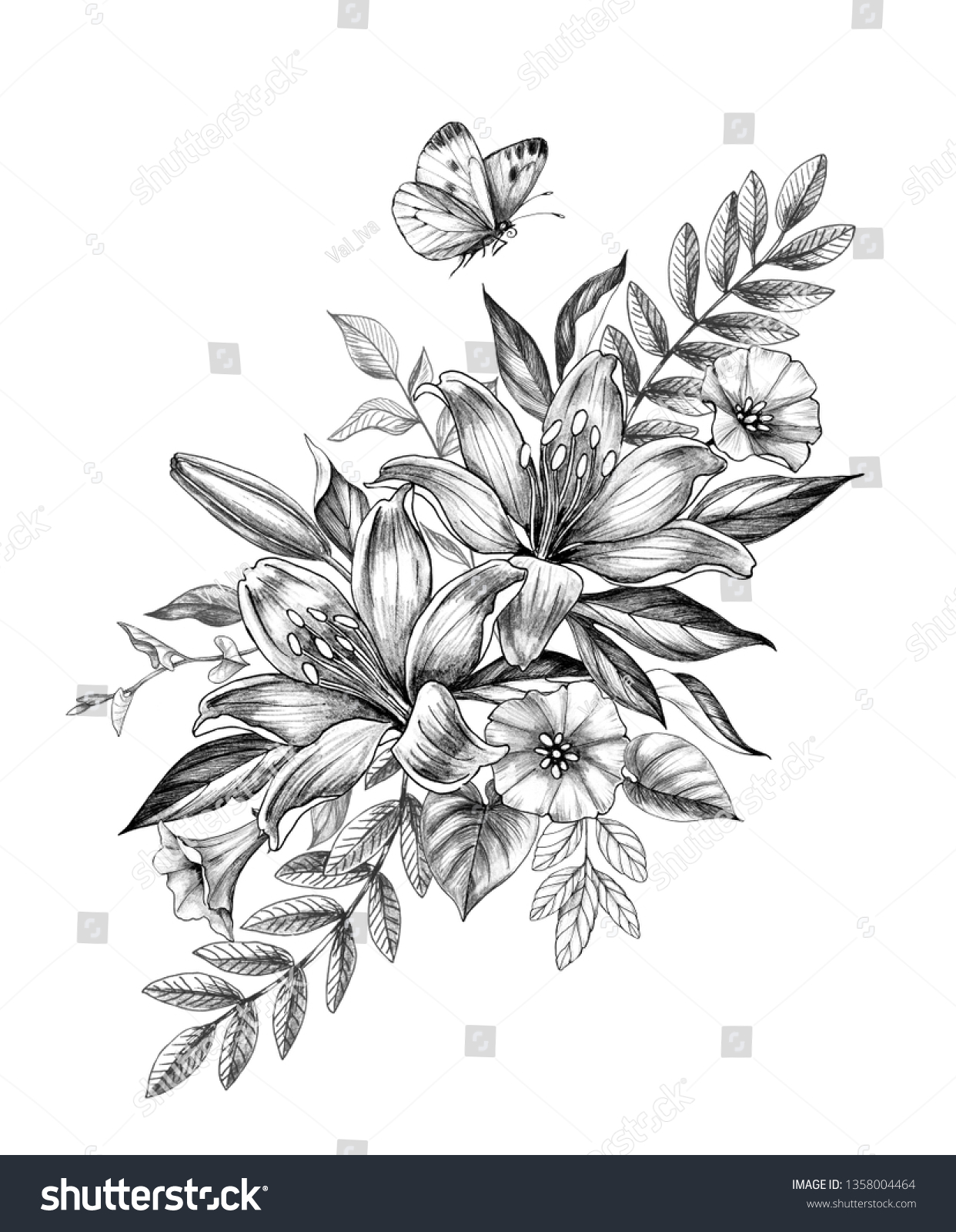 Hand Drawn Floral Bunch Lily Bindweed Stock Illustration 1358004464